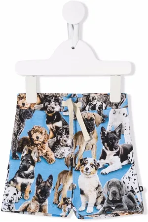 Molo Shorts mit Hunde-Print