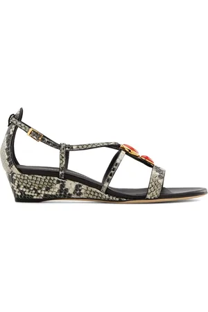 Giuseppe Zanotti Adelaide
