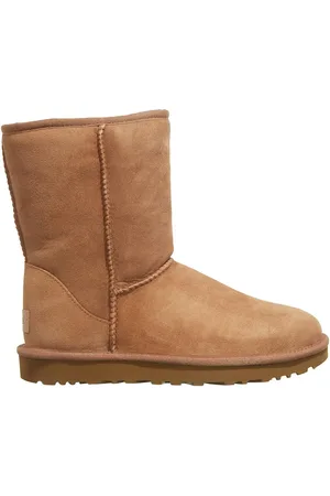 UGG Stiefeletten - Stivali Classic Short - Gr. 39 (EU) - in - für Damen