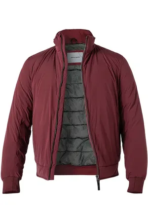 Pierre Cardin Blouson, Mikrofaser wasserabweisend, bordeaux