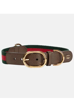 Gucci Halsband für Hunde Web Stripe L/XL