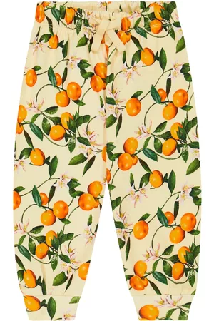 Molo Baby Jogginghose Simeon aus Baumwolle